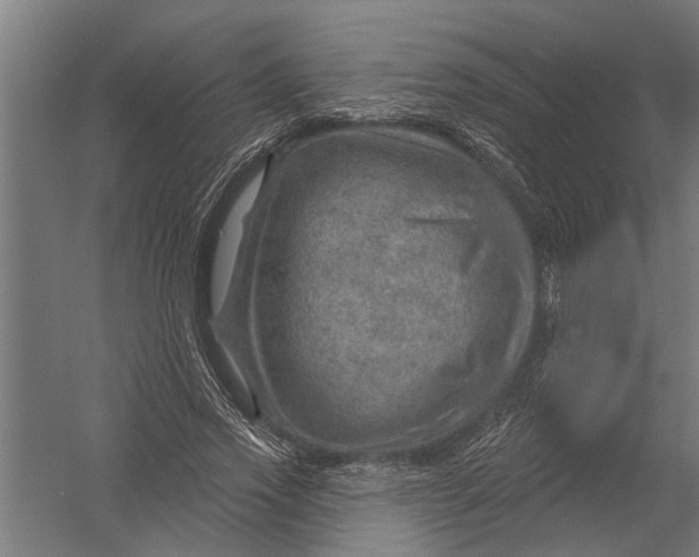 X0000052930733200507292351