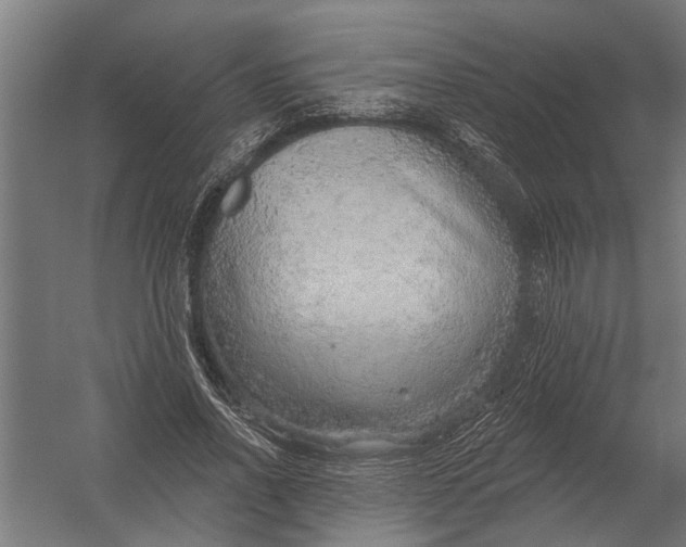 X0000052930734200507292351