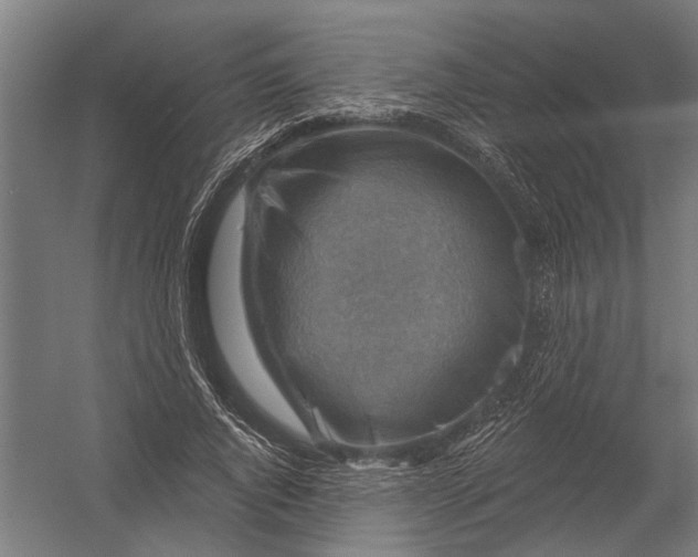 X0000052930736200507292351