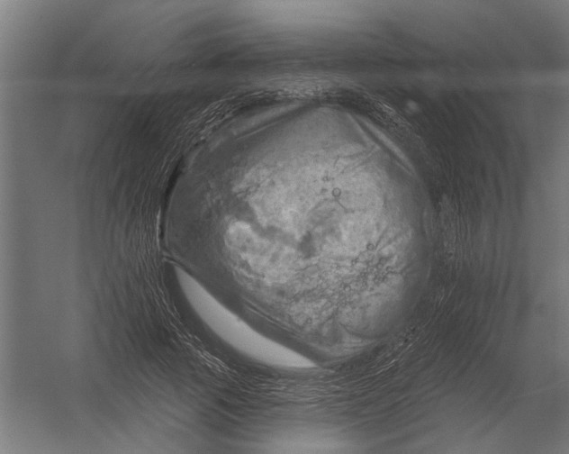 X0000052930737200507292351