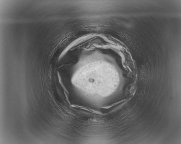 X0000052930739200507292351