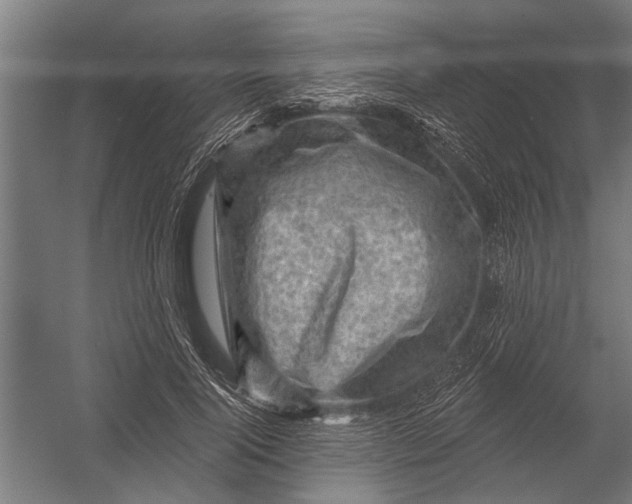 X0000052930740200507292351