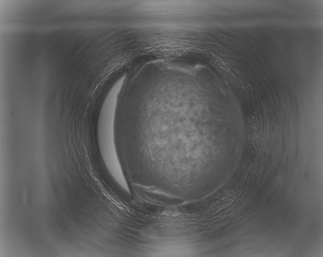 X0000052930742200507292351