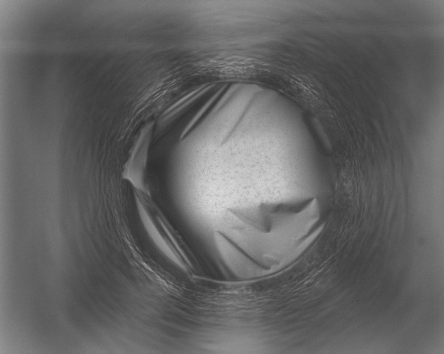 X0000052930744200507292351