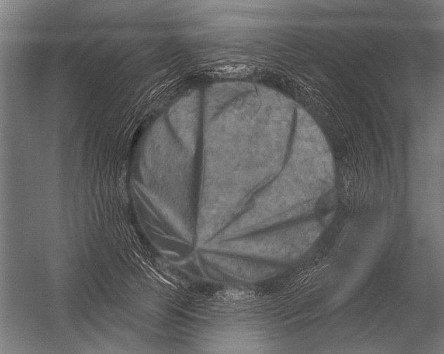 X0000052930745200507292352