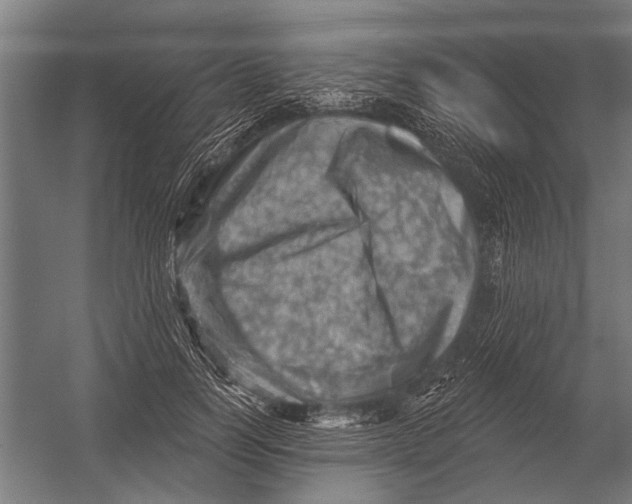 X0000052930746200507292352