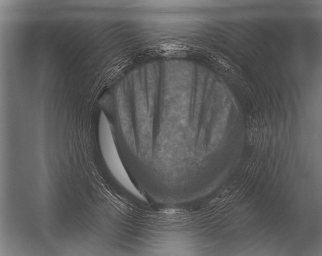 X0000052930748200507292352