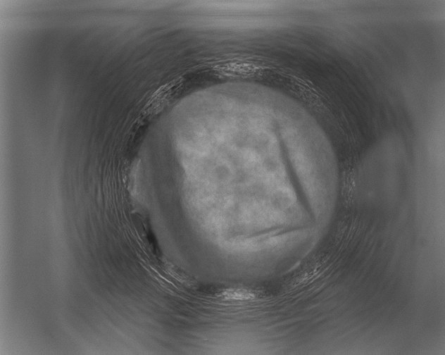 X0000052930749200507292352