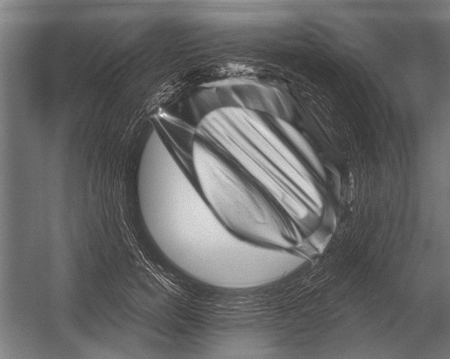 X0000052930750200507292352