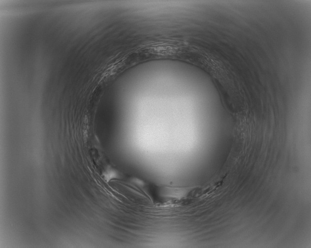 X0000052930752200507292352