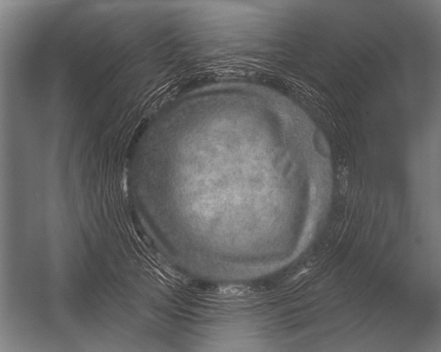 X0000052930753200507292352