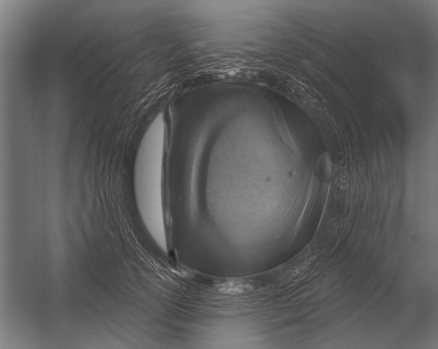 X0000052930754200507292352