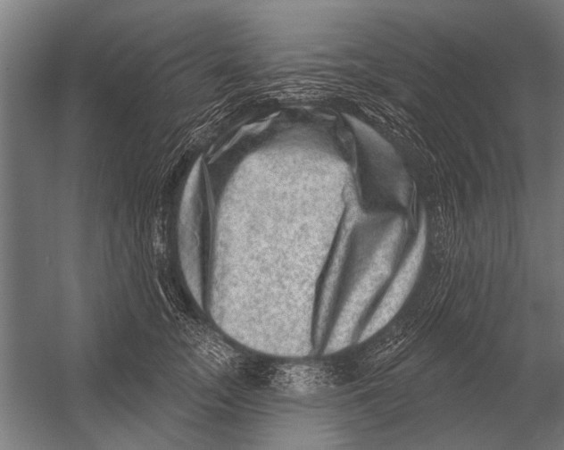 X0000052930755200507292352