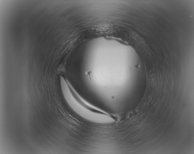 X0000052930756200507292352