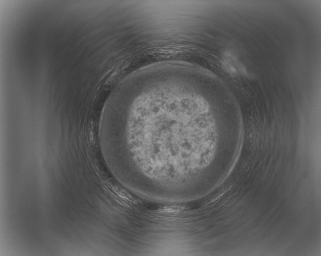 X0000052930758200507292352