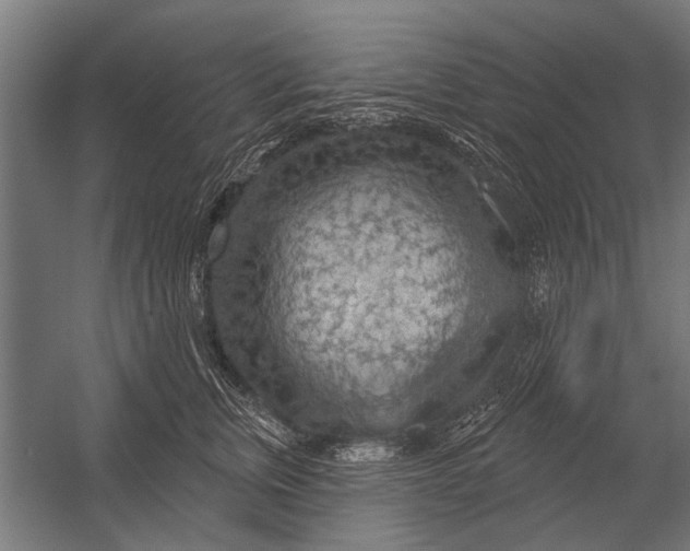 X0000052930759200507292352