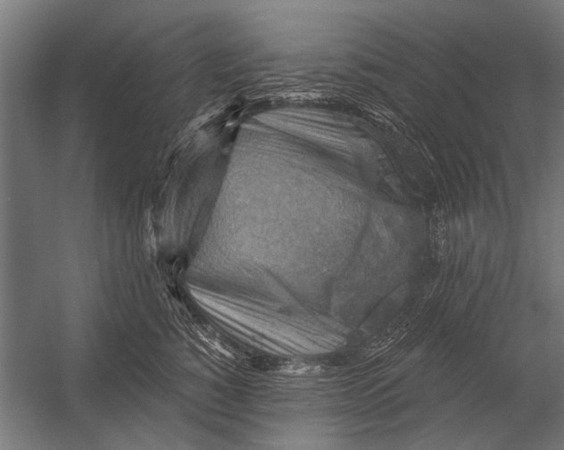 X0000052930760200507292352