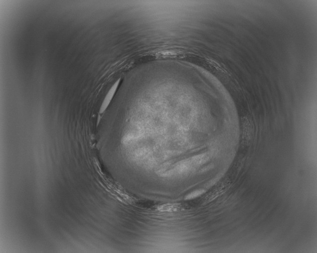 X0000052930761200507292352