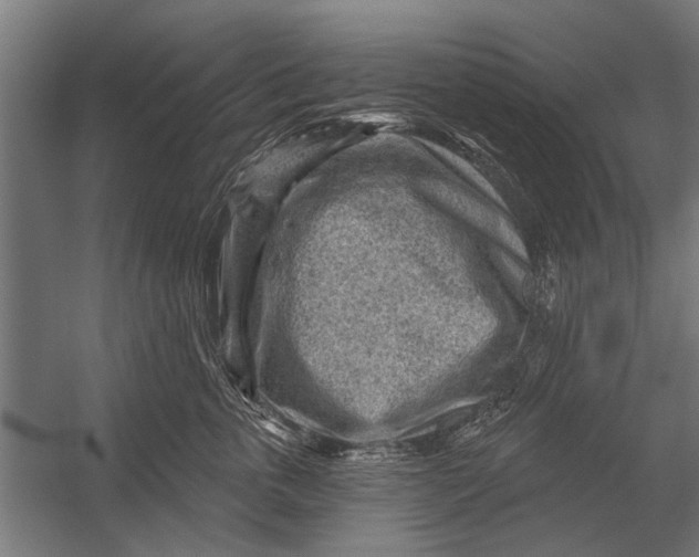 X0000052930763200507292352