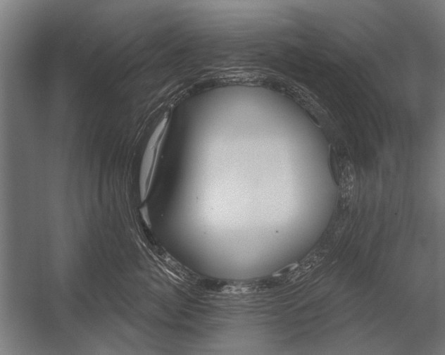 X0000052930764200507292352