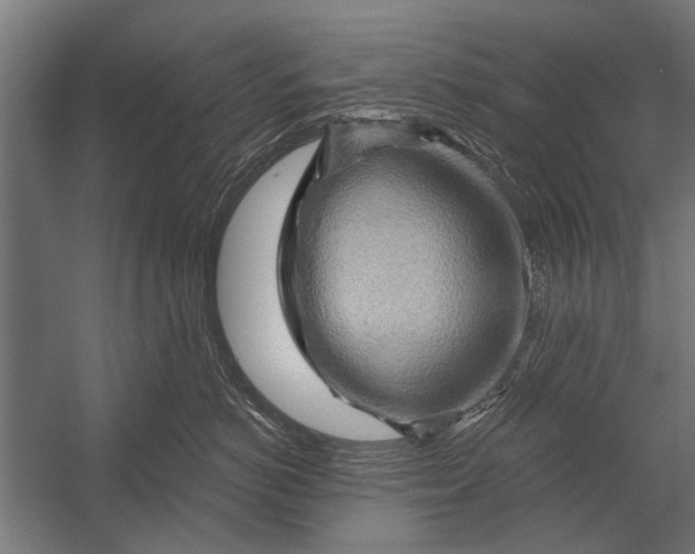 X0000052930766200507292352