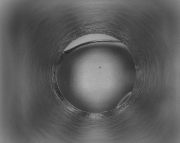 X0000052930767200507292352