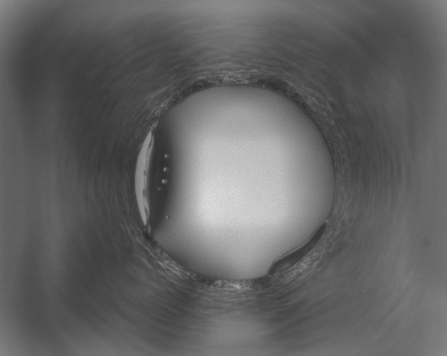 X0000052930768200507292352