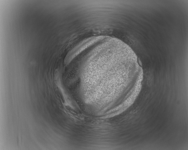 X0000052930770200507292351