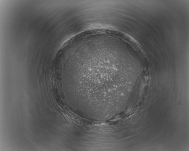 X0000052930775200507292351