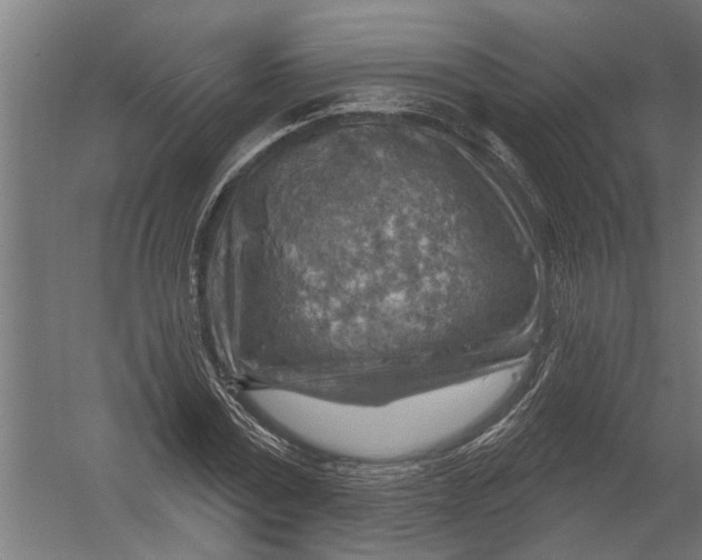 X0000052930779200507292351