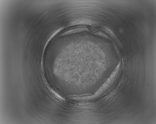 X0000052930780200507292351