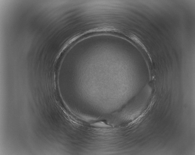 X0000052930781200507292351