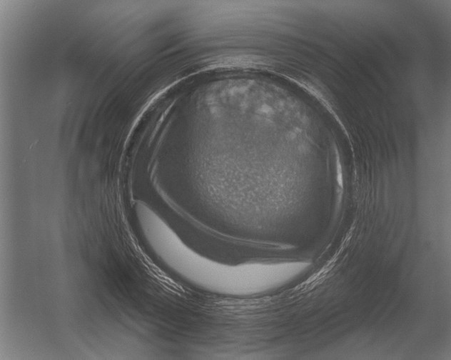 X0000052930783200507292351