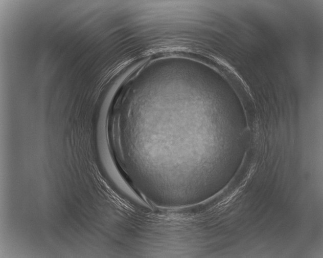 X0000052930785200507292351