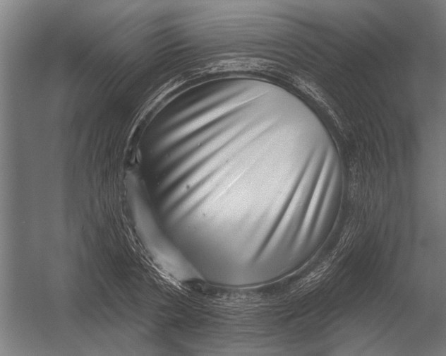 X0000052930786200507292351