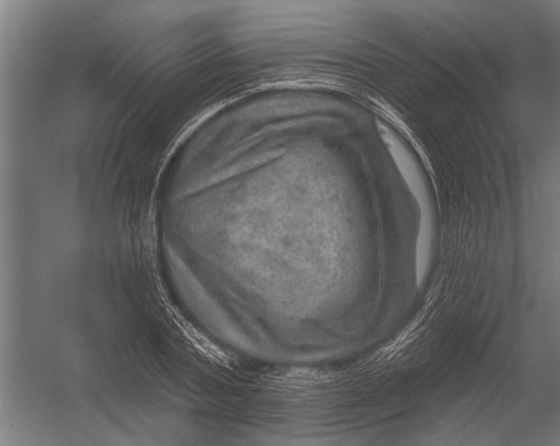 X0000052930787200507292351