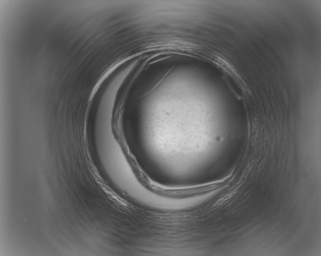 X0000052930788200507292351