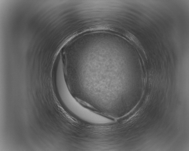 X0000052930789200507292351