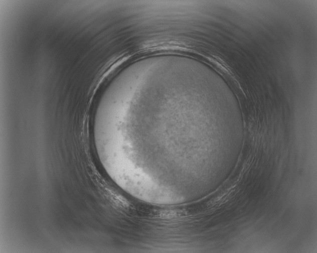 X0000052930790200507292351