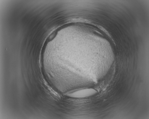 X0000052930791200507292351