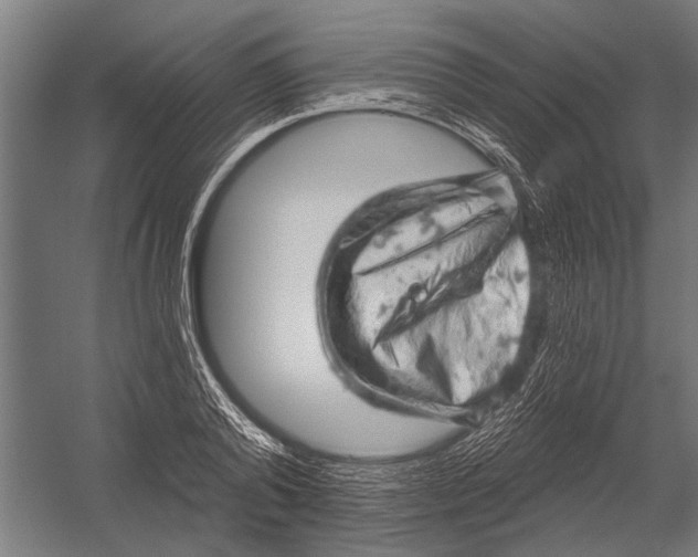 X0000052930792200507292351