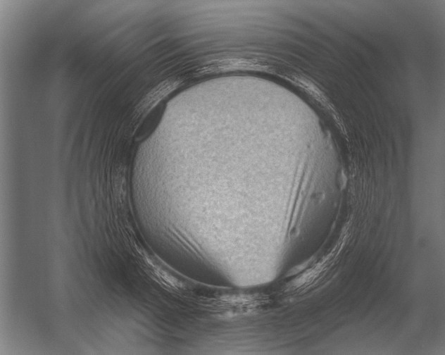 X0000052930793200507292351