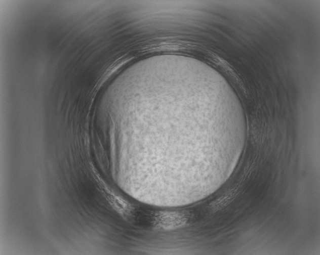 X0000052930794200507292351