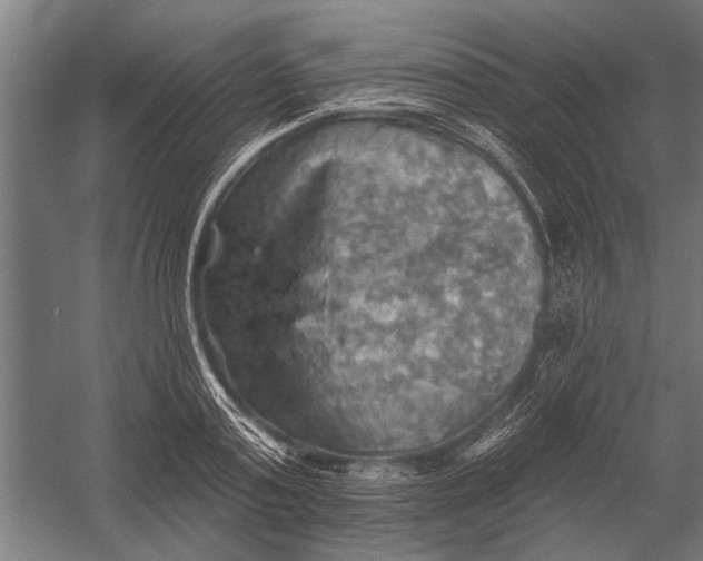 X0000052930795200507292351