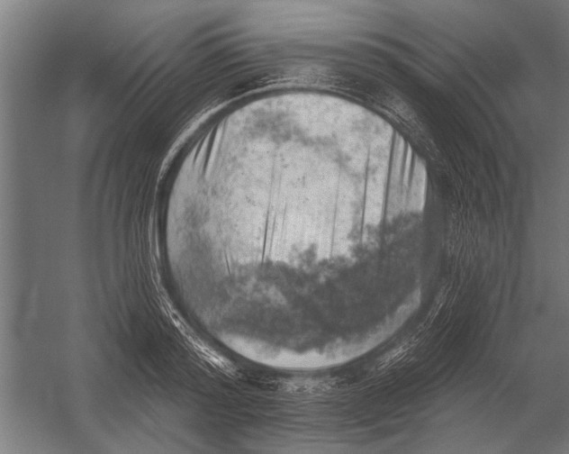 X0000052930796200507292351