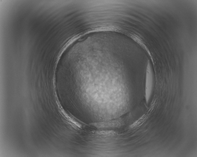 X0000052930797200507292351