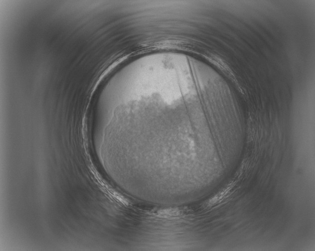 X0000052930798200507292351