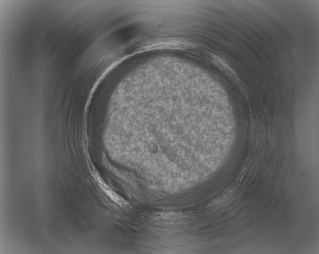 X0000052930800200507292351