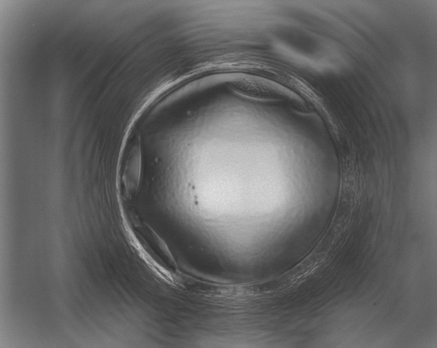 X0000052930803200507292351