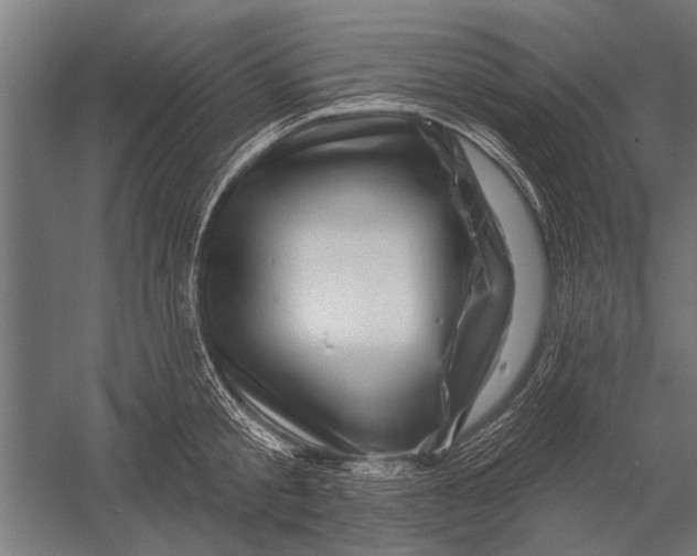 X0000052930805200507292350